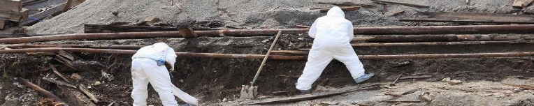 Asbestos Removal Sydney