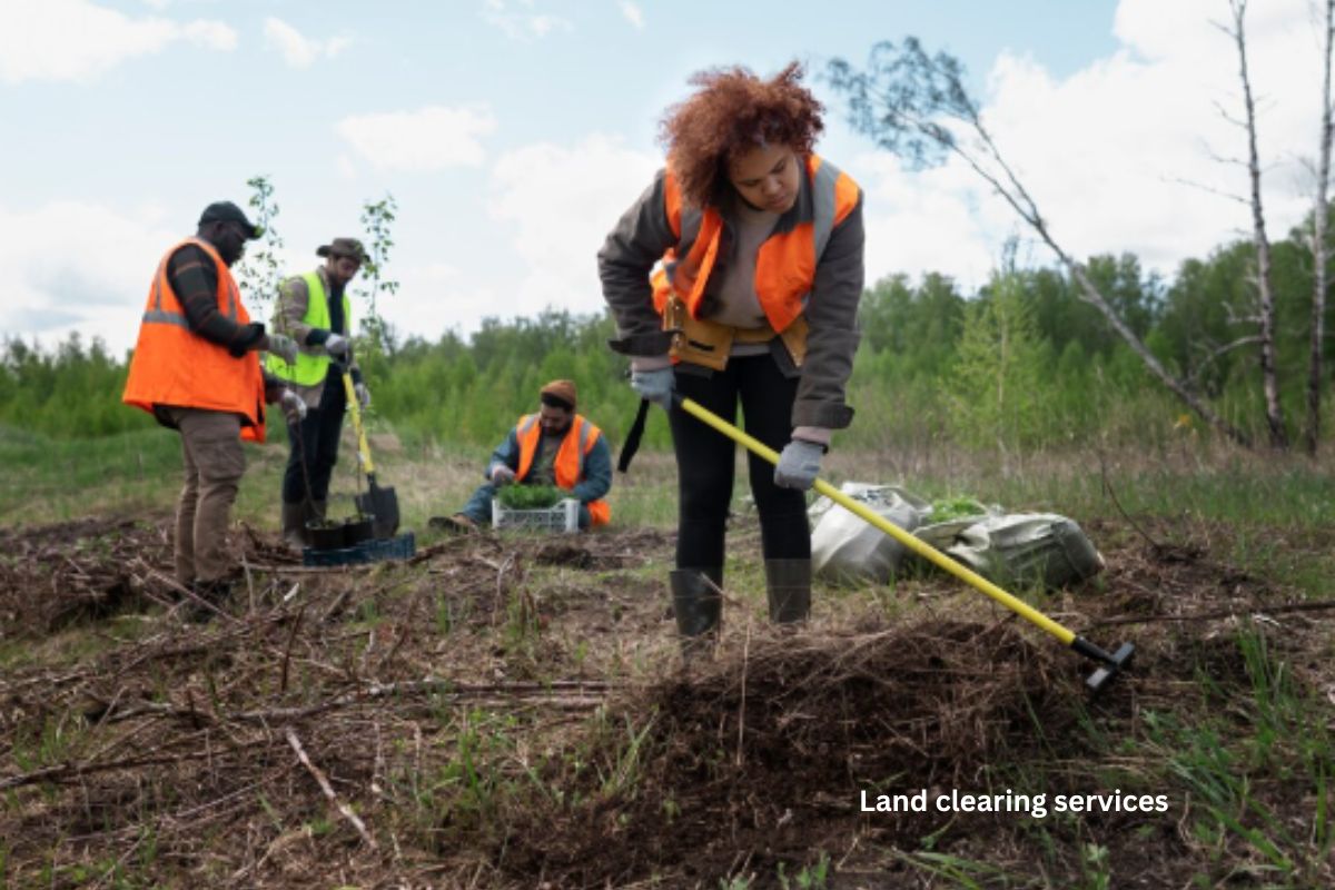Land Clearing Services
